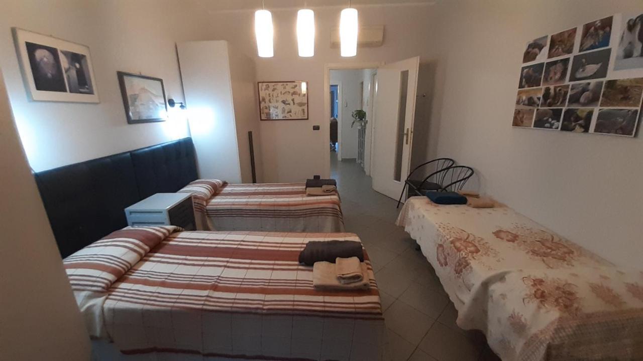 Metronear Apartment Collegno Luaran gambar